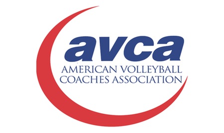 Women's Volleyball earns AVCA Team Academic Award